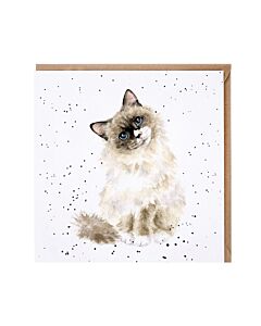 Wrendale Designs Paws for Thought Cat Card